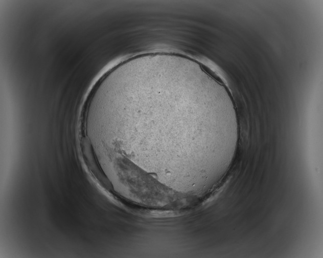 X0000086001142200704131800