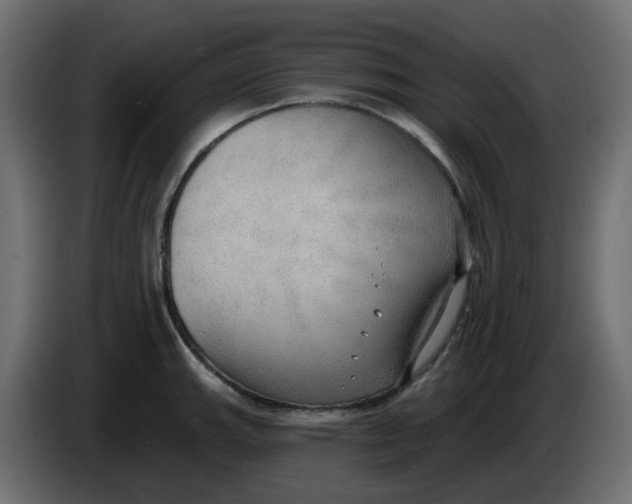 X0000086001143200704131800