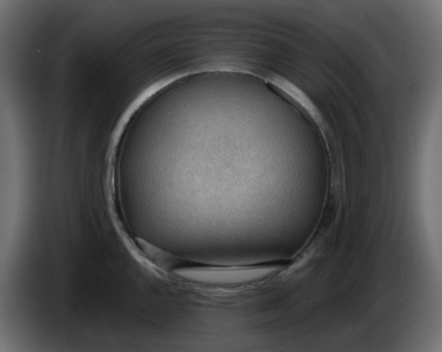 X0000086001144200704131800