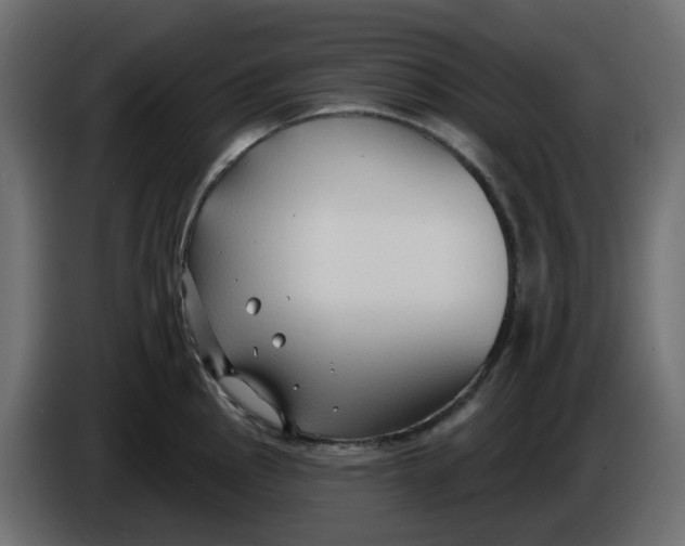 X0000086001145200704131800