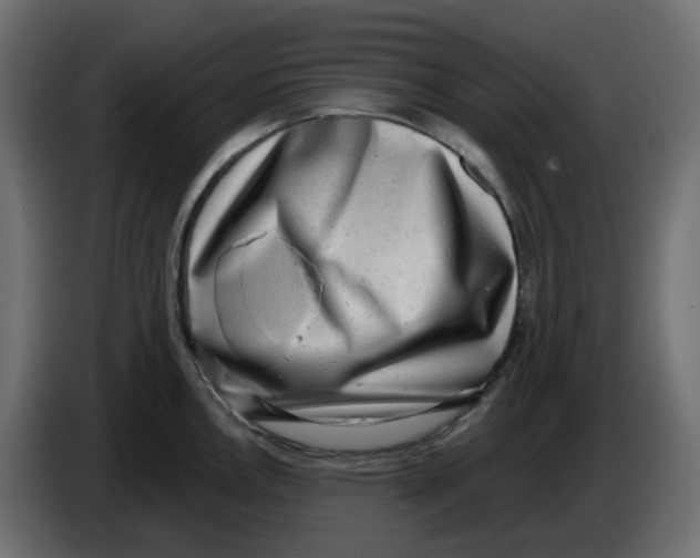 X0000086001146200704131800