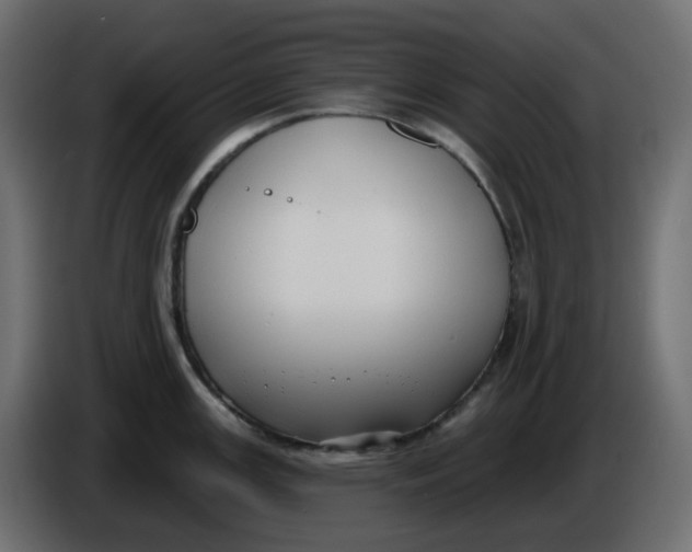 X0000086001147200704131800