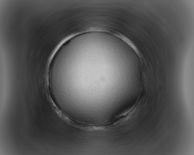 X0000086001148200704131800