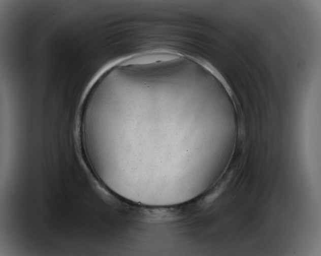 X0000086001149200704131800