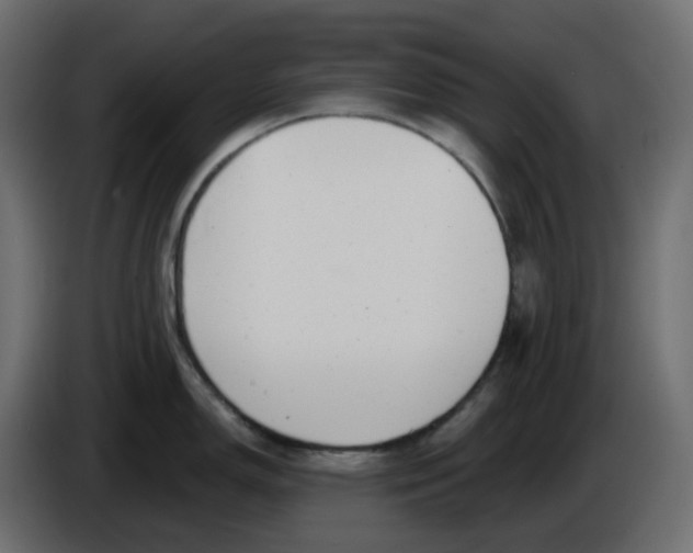 X0000086001150200704131800