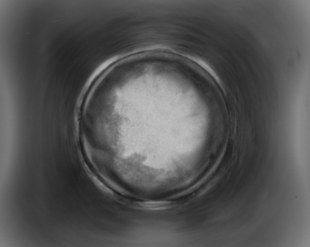 X0000086001151200704131800