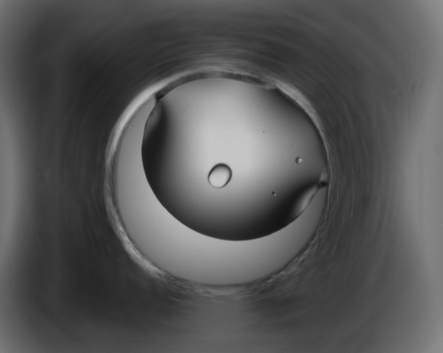 X0000086001152200704131800