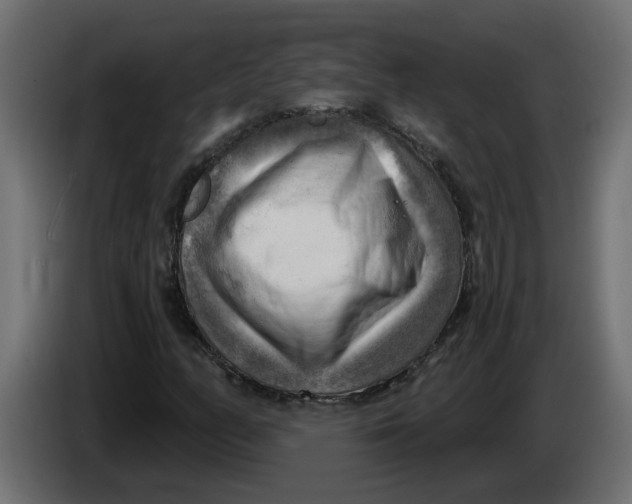 X0000086001158200704131759