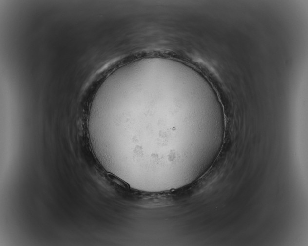 X0000086001159200704131759