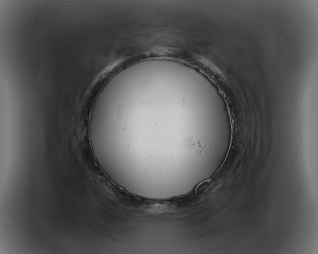 X0000086001160200704131759