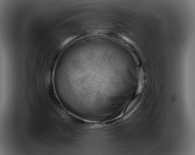 X0000086001161200704131759