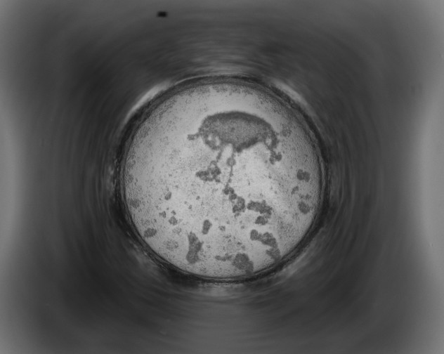 X0000086001163200704131759