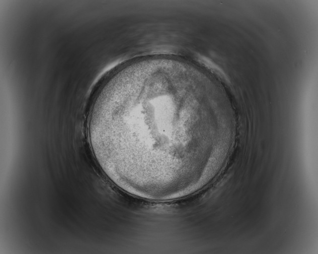 X0000086001166200704131759