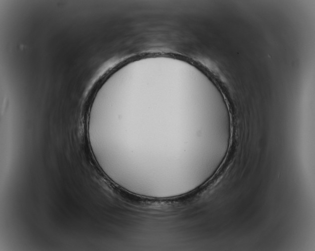 X0000086001167200704131759