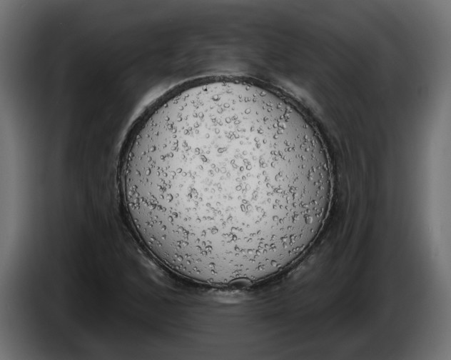 X0000086001168200704131759