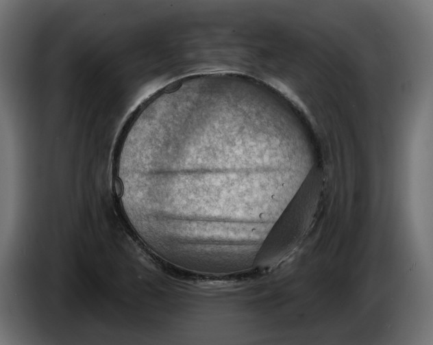 X0000086001173200704131759