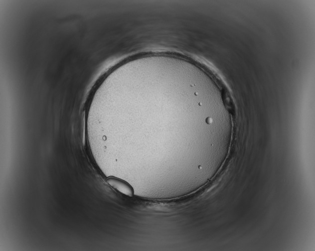 X0000086001175200704131759