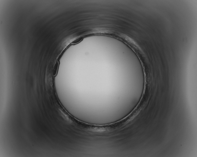 X0000086001177200704131759