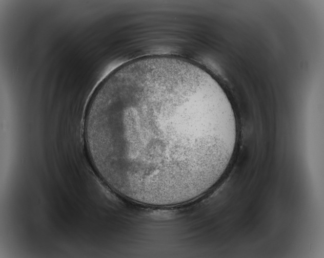 X0000086001178200704131759