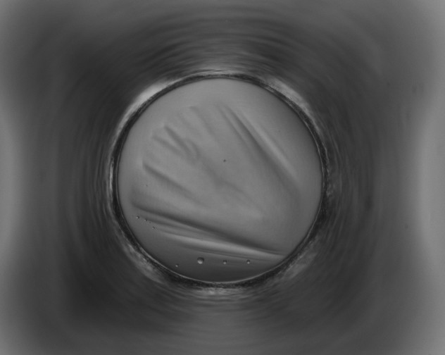 X0000086001179200704131759