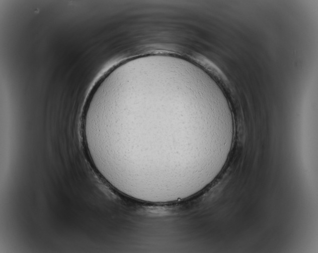 X0000086001182200704131759