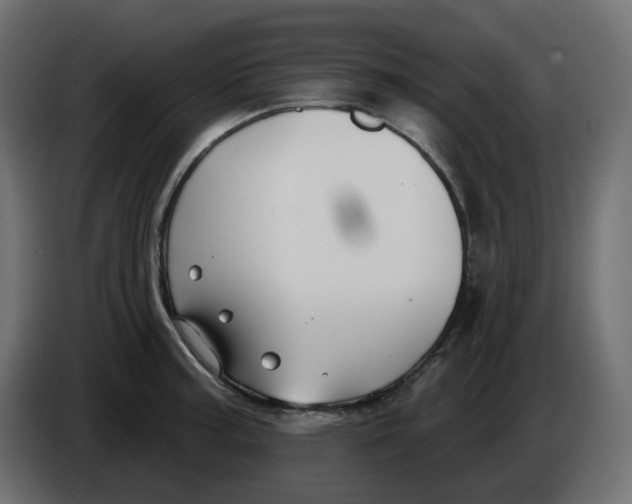 X0000086001187200704131759