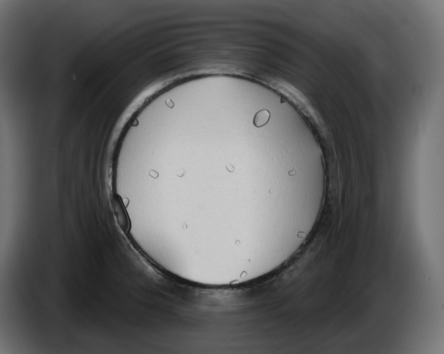 X0000086001188200704131758