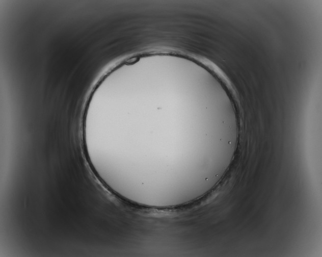 X0000086001191200704131758