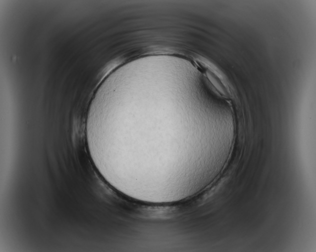 X0000086001193200704131758