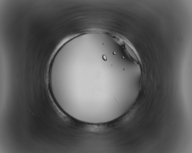 X0000086001195200704131758