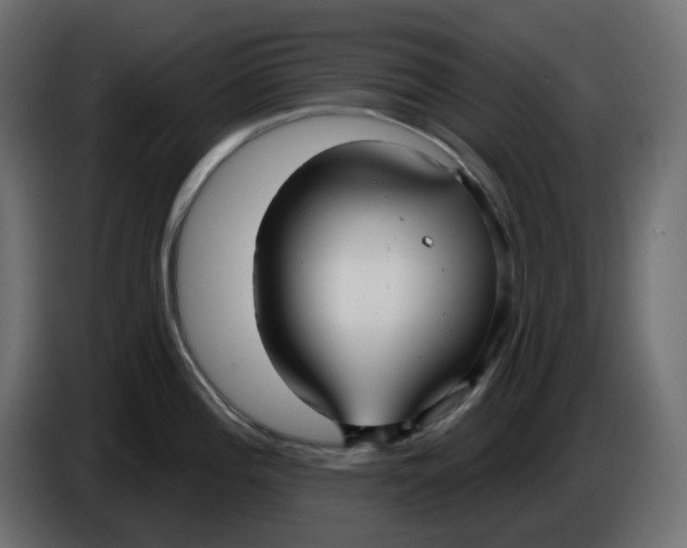 X0000086001196200704131758