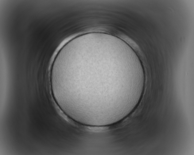 X0000086001200200704131758