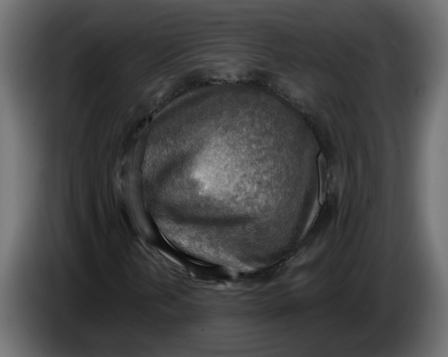 X0000086001202200704131758