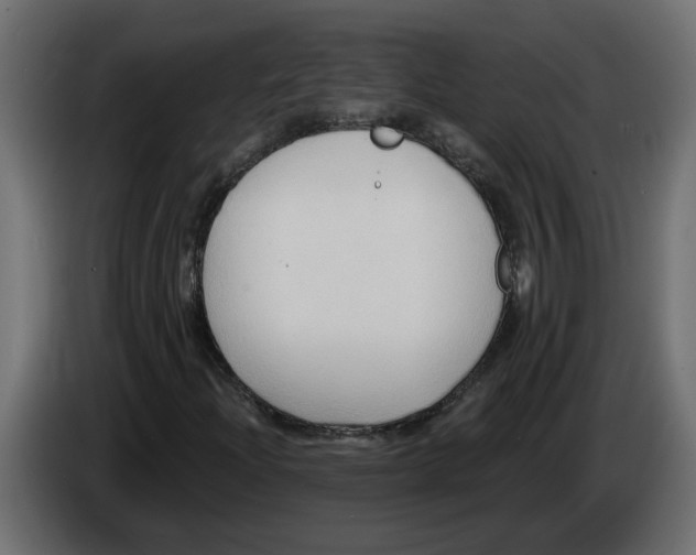 X0000086001204200704131758