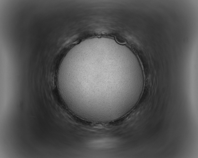 X0000086001205200704131758