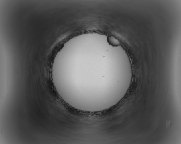 X0000086001207200704131758