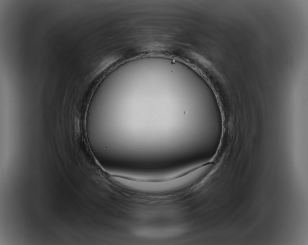 X0000086001209200704131758