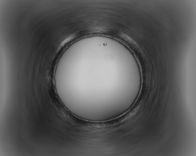 X0000086001210200704131758