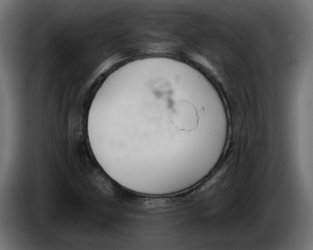 X0000086001211200704131758