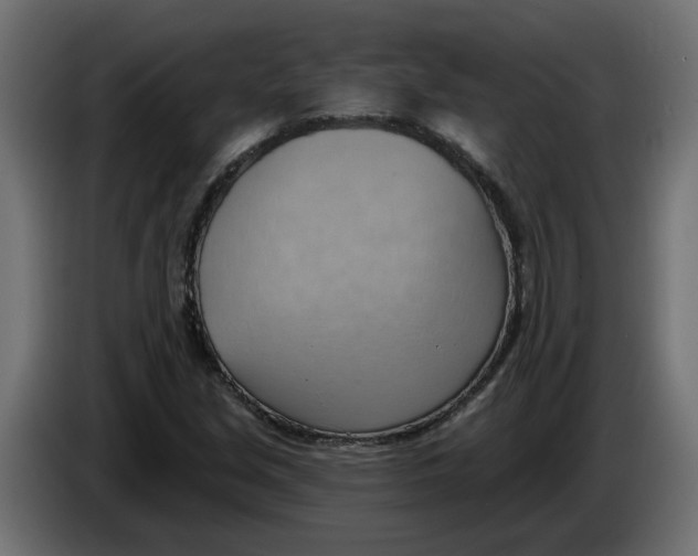 X0000086001213200704131758