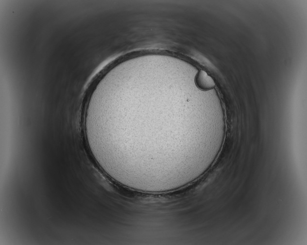 X0000086001216200704131758