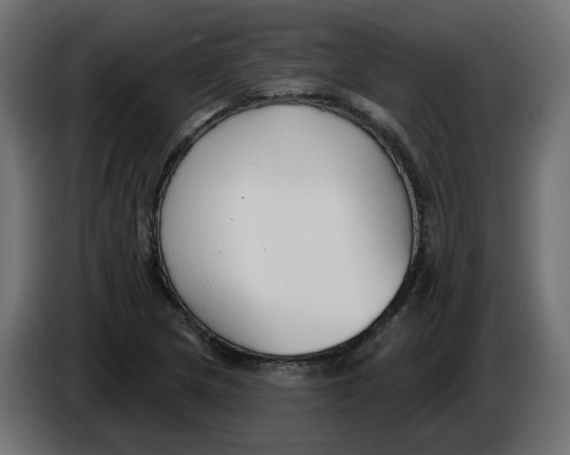 X0000086001217200704131758