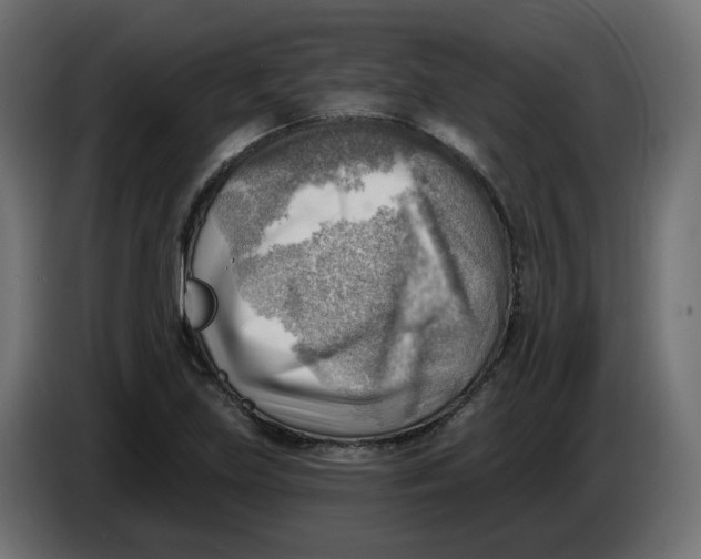 X0000086001219200704131758