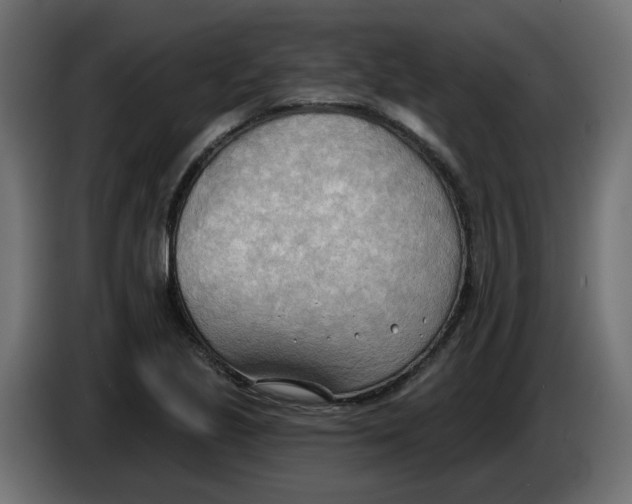 X0000086001221200704131758