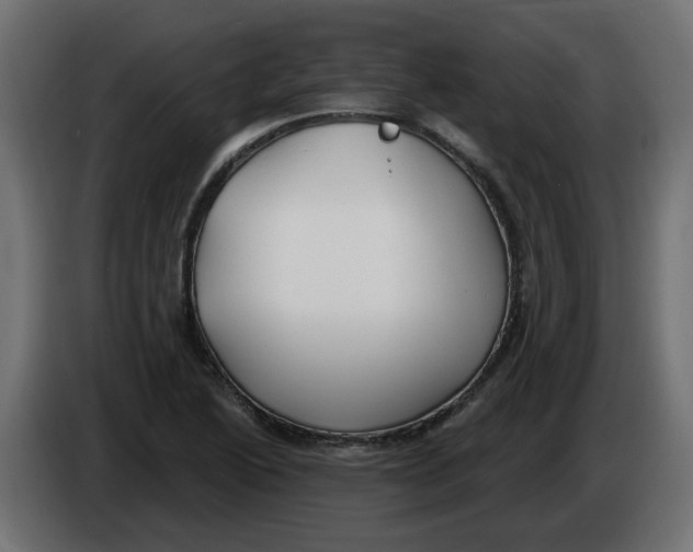 X0000086001222200704131758