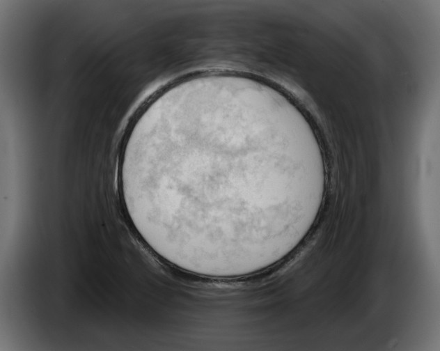 X0000086001224200704131758