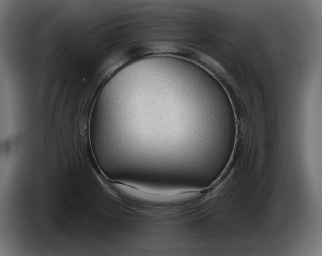 X0000086001225200704131758