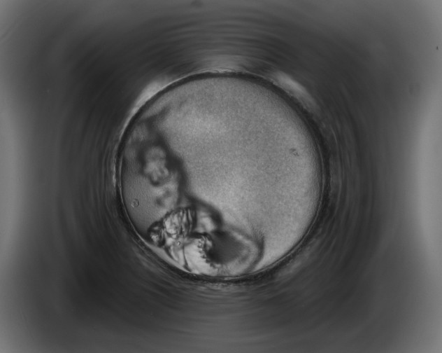 X0000086001226200704131758