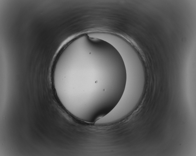 X0000086001230200704131758