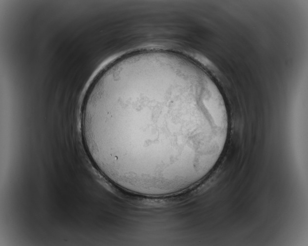 X0000086001232200704131758